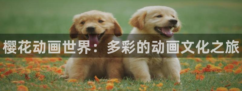 omofun动漫共和国下载：樱花动画世界：多彩的动画文化之旅