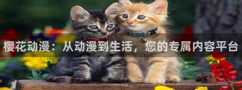 omofun正版官网下载：樱花动漫：从动漫到生活，您的专属内容平台