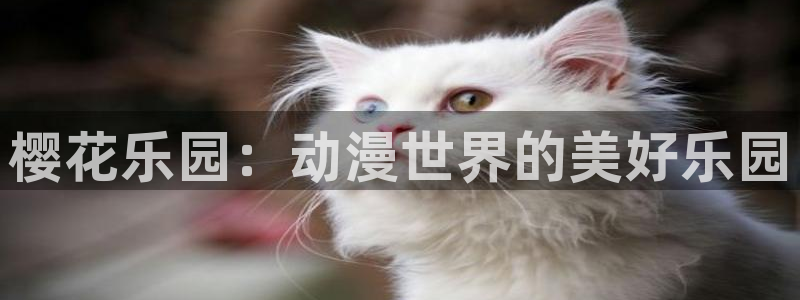 omofun网页入口版：樱花乐园：动漫世界的美好乐园