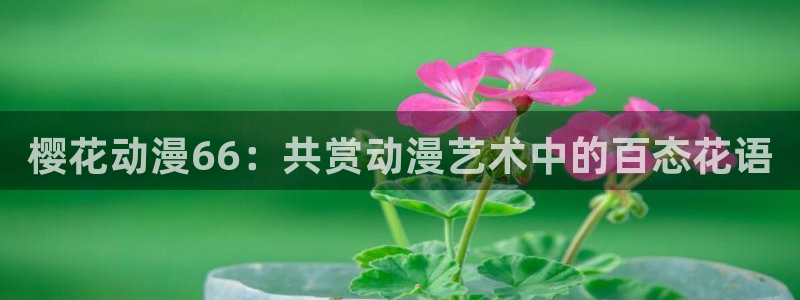 omofun官方：樱花动漫66：共赏动漫艺术中的百态花语