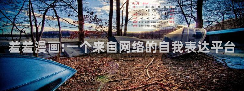 omofun动漫免费观看：羞羞漫画:一个来自网络的自我表达平台