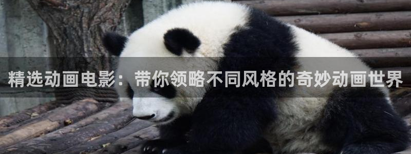 omofun动漫下载ios版：精选动画电影：带你领略不同风格的奇妙动画世界