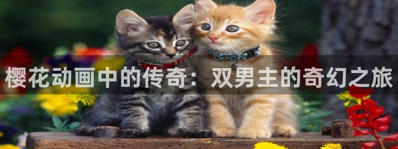 omofun动漫app下载最新版：樱花动画中的传奇：双男主的奇幻之旅