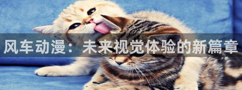 age动漫链接：风车动漫：未来视觉体验的新篇章