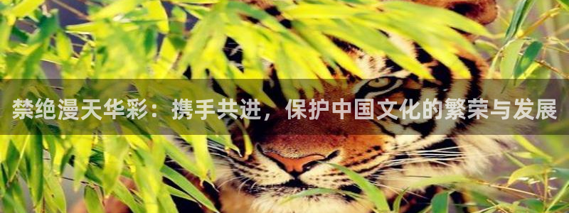 omofun新版本：禁绝漫天华彩：携手共进，保护中国文化的繁荣与发展